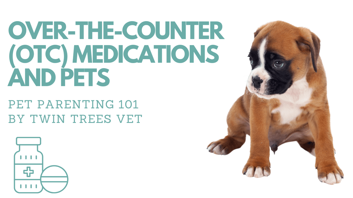 Over the best sale counter pet meds