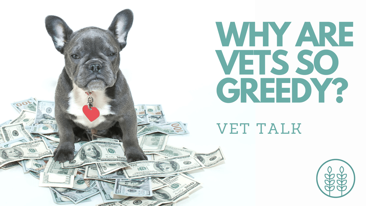 Q WHY ARE VETS SO GREEDY? Twin Trees