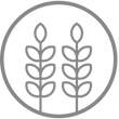 Twin Trees Vet (education)