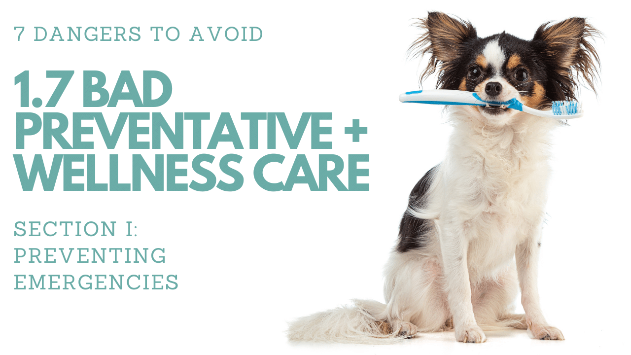 1.7 Bad Preventative & Wellness Care (Dangers to Avoid #7 of 7)︱Pet First Aid Course
