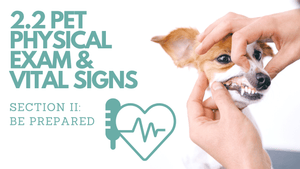 2.2 Pet Physical Exam & Vital Signs︱Pet First Aid Course