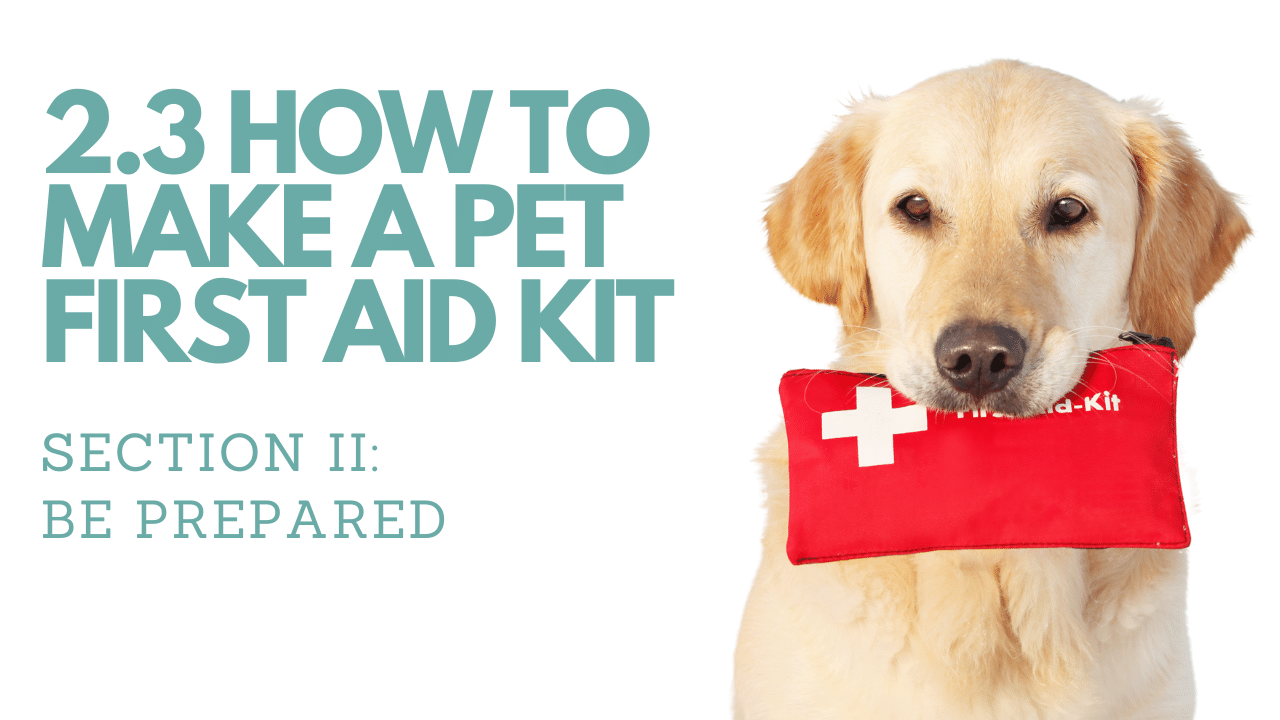2.3 How to Make a Pet First Aid Kit︱Pet First Aid Course