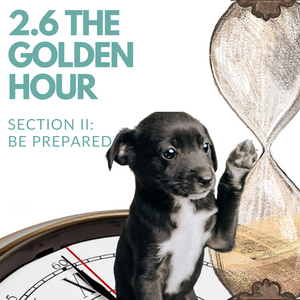 2.6 The Golden Hour (Twin Trees Vet Pet First Aid Course