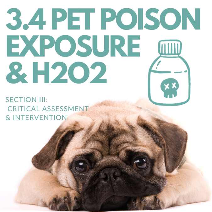 3.5 Approach to Pet Toxin and Poison Exposure + How To Administer Hydr ...