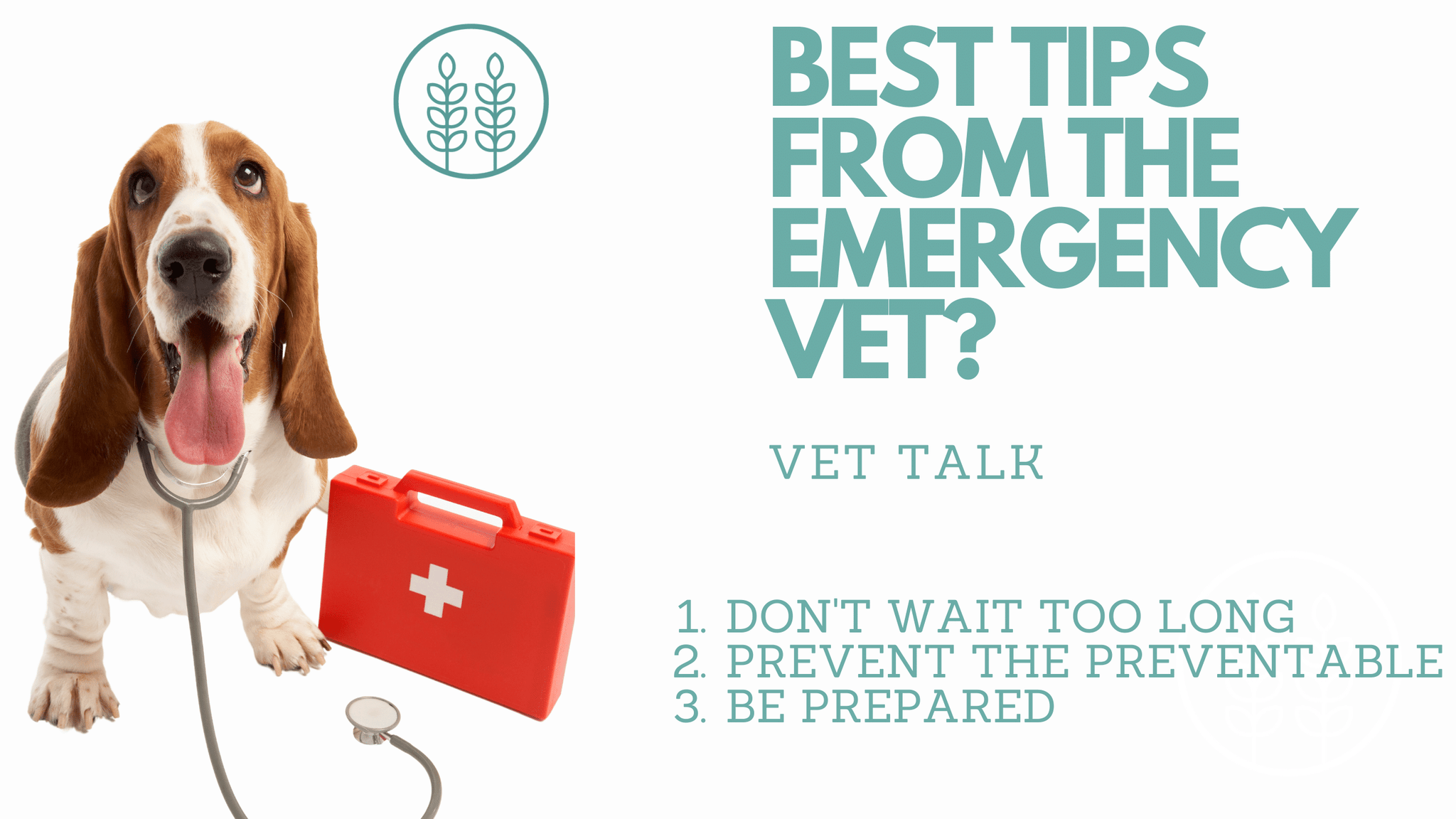 3 Tips From The Emergency Vet That Could Save Your Pet's Life