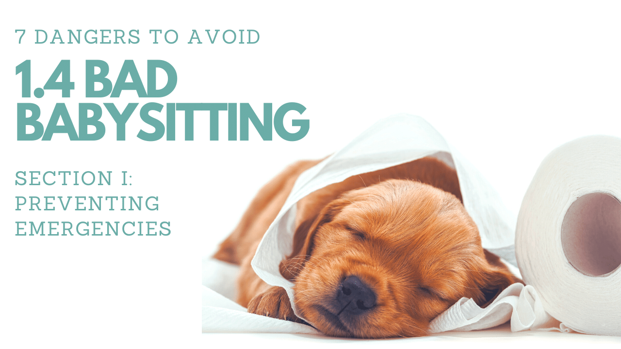 1.4 BAD BABYSITTING (7 Dangers to Avoid)︱Pet First Aid Course