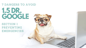 1.5 DR GOOGLE (7 Dangers to Avoid)︱Pet First Aid Course
