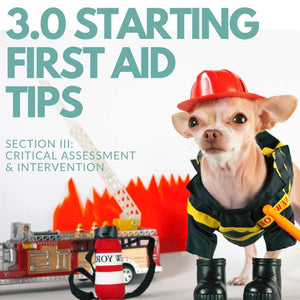2.0 STARTING FIRST AID TIPS: