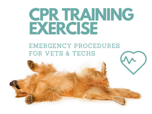 CPR Training Exercise For Vet Students and Techs