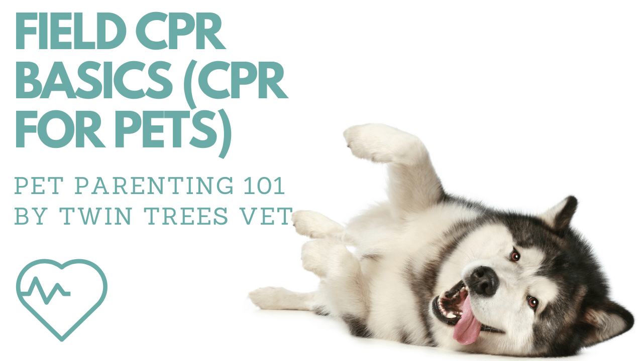 FIELD CPR BASICS (CPR FOR PETS)