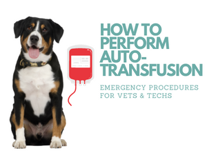 Autotransfusion for Massive Internal Hemmorhage in Remote Areas