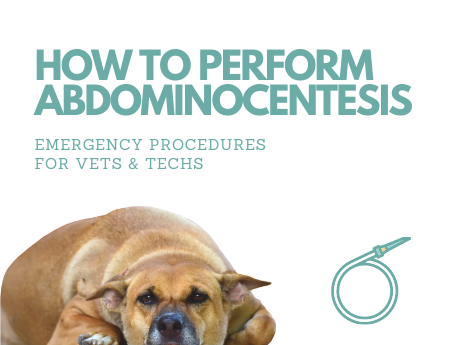 How to Perform Abdominocentesis
