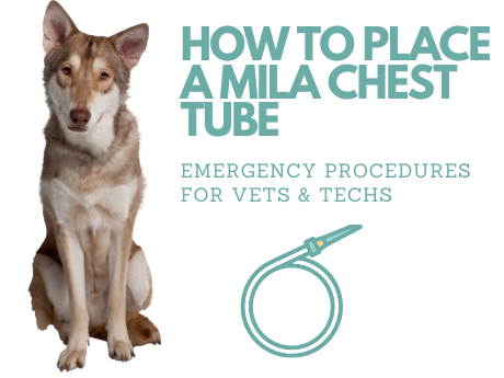 Emergency Mila Chest Tube Placement for Hemothorax