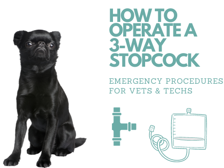 How to operate a 3 way Stopcock