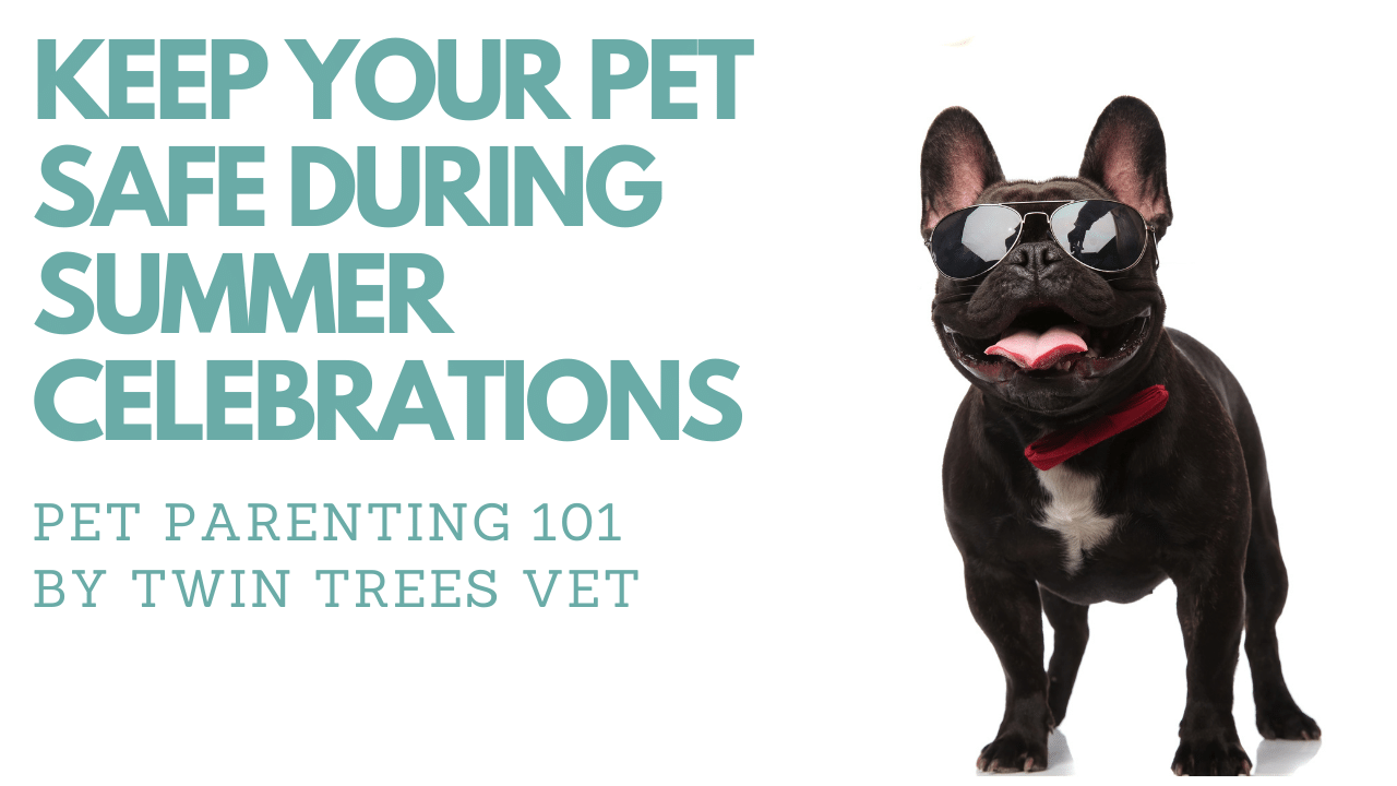 KEEP YOUR PET SAFE DURING SUMMER CELEBRATIONS