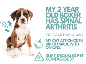 Q) My 2 Year Old Boxer Has Spinal Arthritis. Q) My Cat Ate Chicken Broth Made with Onions Q) Is My Deceased Pet Contagious?