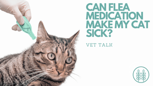 Q: Can flea medication make my cat sick?