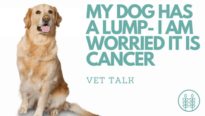 Q: My dog has a lump- I am worried it is cancer.