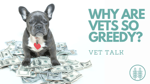 Q: WHY ARE VETS SO GREEDY?