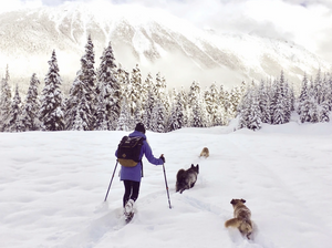 The Best Free Dog-Friendly Snowshoeing Trails to Do in the Sea-to-Sky Corridor This Winter