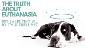 The Truth About Euthanasia