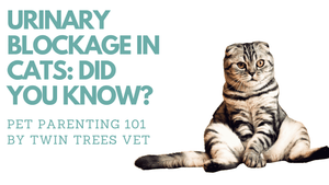URINARY BLOCKAGE IN CATS: DID YOU KNOW?