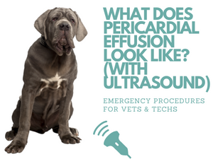 What pericardial effusion looks like (with ultrasound)