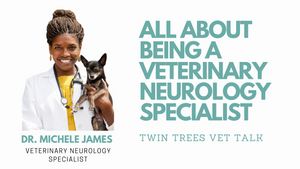 All About Being A Veterinary Neurology Specialist │ Twin Trees Vet Talk
