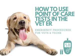 How to Use Point of Care Tests in the Vet ER