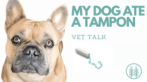 Q: Help! My dog ate a tampon!