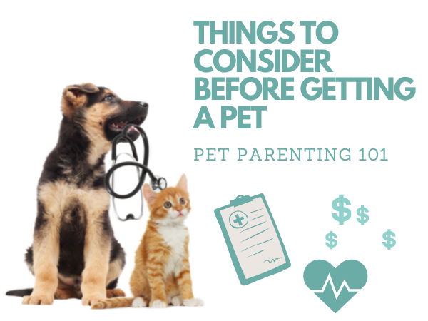Things to Consider Before Getting a Pet